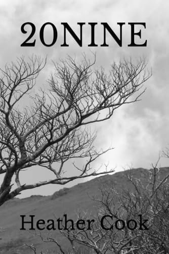20nine by Heather Marie Cook