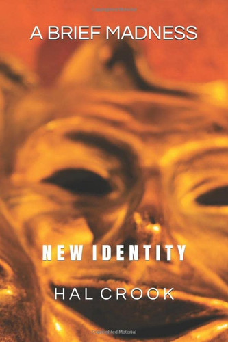 A BRIEF MADNESS: NEW IDENTITY by Crook, Hal