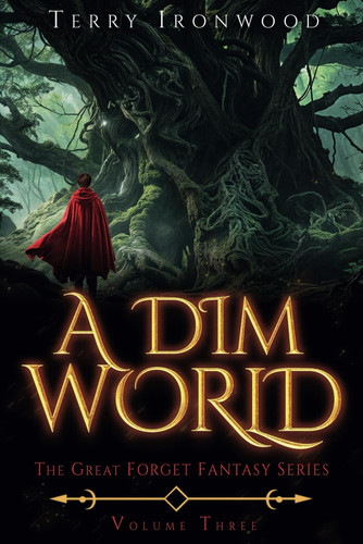A Dim World: The Great Forget Fantasy Series Volume Three by Ironwood, Terry
