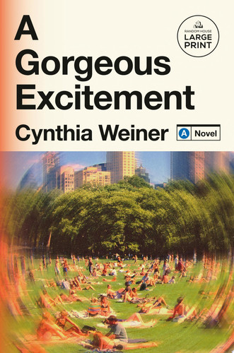 A Gorgeous Excitement A Novel by Cynthia Weiner