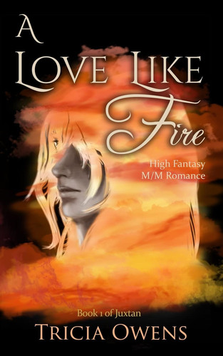 A Love Like Fire High Fantasy M/M Romance by Tricia Owens