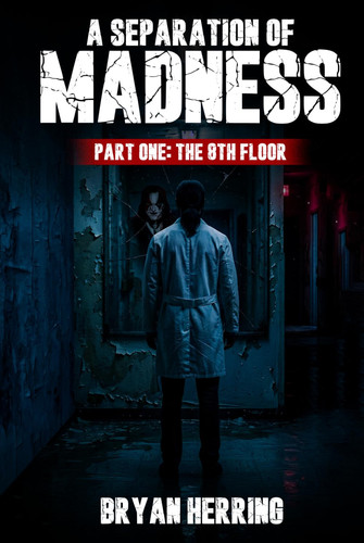 A Separation of Madness: Part 1: The 8th Floor by Herring, Bryan