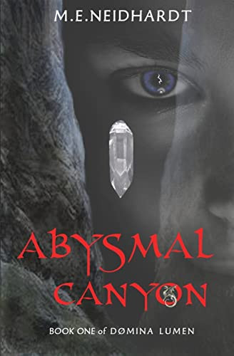 Abysmal Canyon A Young Adult/New Adult Crossworlds Science Fantasy Novel (Domina Lumen Book 1) by M. E. NEIDHARDT
