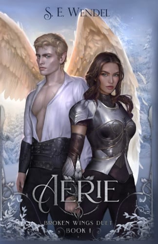 Aerie: A Fantasy Novel (Broken Wings Duet) by Wendel, S.E.