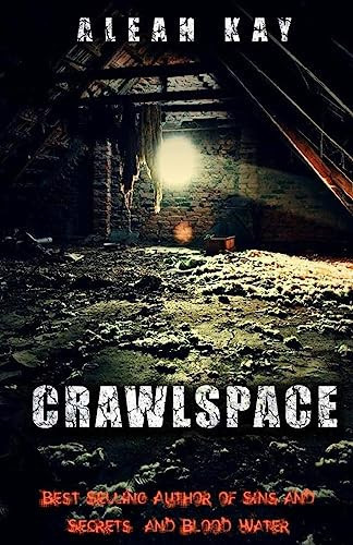 Aleah Kay's Crawlspace You Can't Lock Out, What's Already In. by Aleah Kay