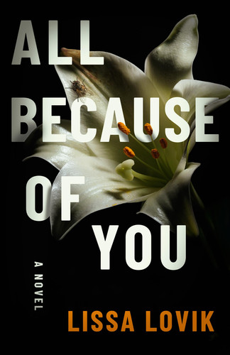 All Because of You A Novel by Lissa Lovik