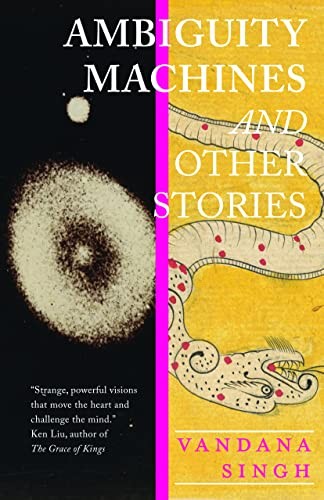 Ambiguity machines by Vandana Singh