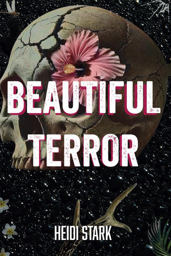 Beautiful Terror: A Dark Stalker Romance Meets Psychological Thriller by Stark, Heidi