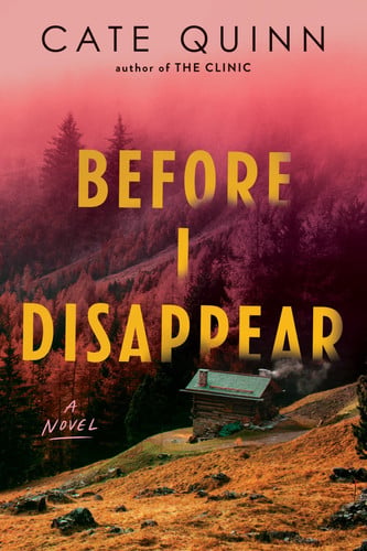 Before I Disappear: A Novel by Quinn, Cate