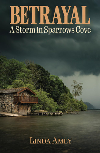 Betrayal A Storm in Sparrows Cove by Linda Amey