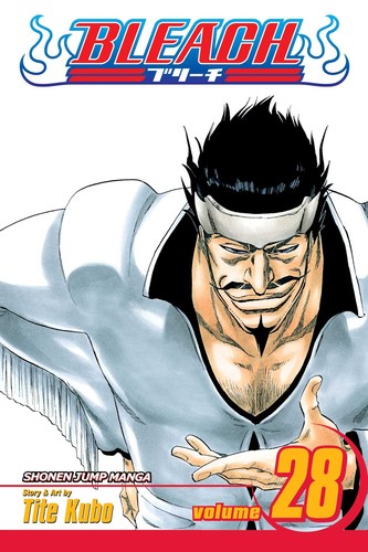 Bleach by Tite Kubo