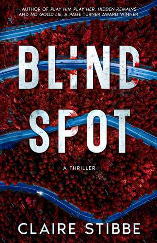 BLIND SPOT by Stibbe, Claire