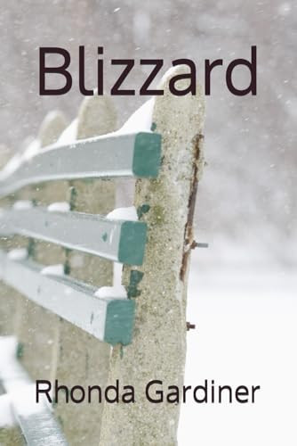 Blizzard by Rhonda Gardiner