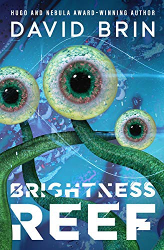 Brightness reef by David Brin