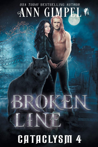 Broken Line An Urban Fantasy by Ann Gimpel