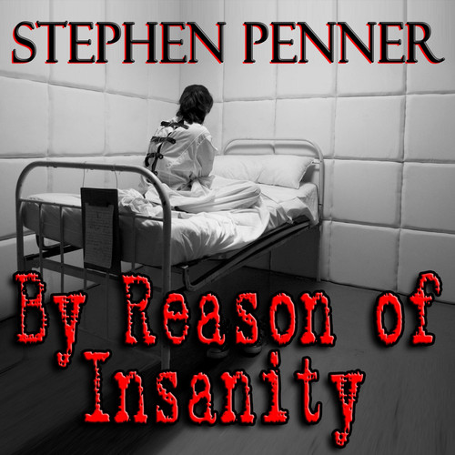 By Reason of Insanity (The David Brunelle Legal Thrillers) by Stephen Penner