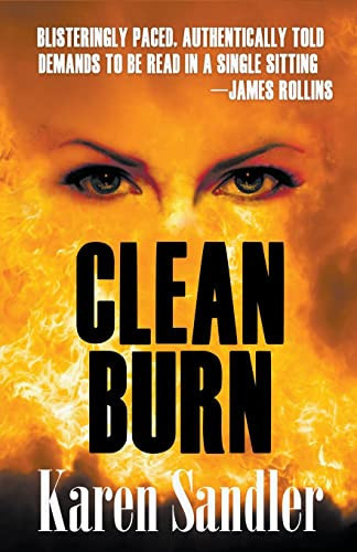 Clean Burn A Mystery/Thriller/Suspense Novel by Karen Sandler