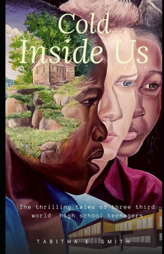 Cold Inside Us The Thrilling Tales Of Three Third World High School Teenagers by Tabitha Smith