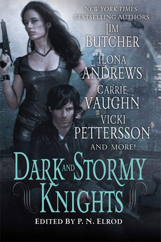 Dark and Stormy Knights A Paranormal Fantasy Anthology by P. N. Elrod