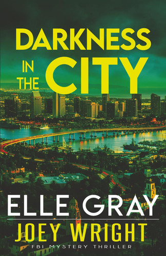 Darkness in the City by Elle Gray