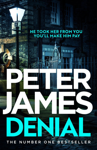 Denial: A gripping thriller filled with twists and turns by James, Peter
