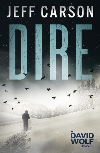 Dire David Wolf Mystery Thriller Series by Jeff Carson