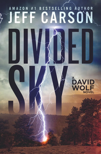 Divided Sky David Wolf Mystery Thriller Series by JEFF. CARSON