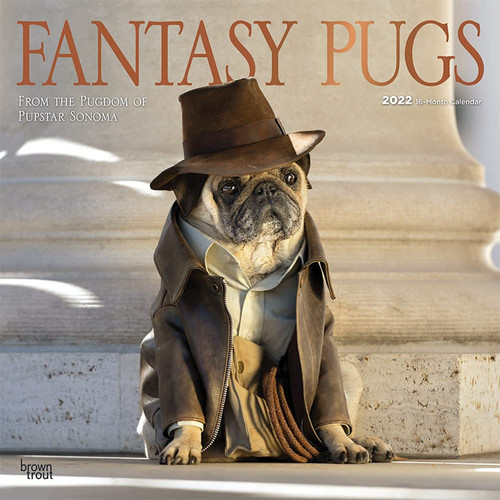 Fantasy Pugs 2022 12 x 12 Inch Monthly Square Wall Calendar with Foil Stamped Cover, Funny Animals Dogs by BrownTrout Publishers Inc.