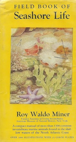 Field Book of Seashore Life by R. W. Miner
