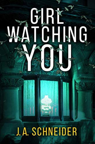 Girl Watching You Novel by Joyce Anne Schneider
