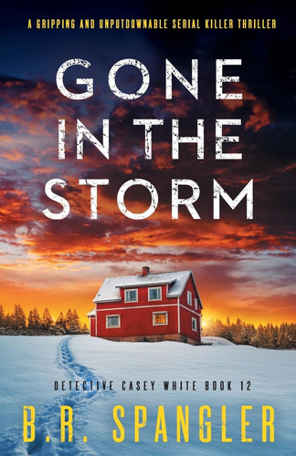 Gone in the Storm A Gripping and Unputdownable Serial Killer Thriller by B. R. Spangler