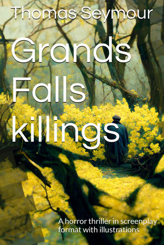 Grands Falls killings: A horror thriller in screenplay format with illustrations by Seymour, Thomas Edward