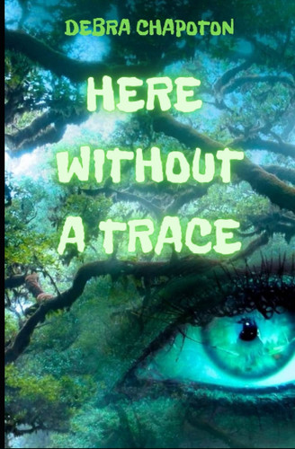 Here Without a Trace A Young Adult Fantasy Adventure by Debra Chapoton