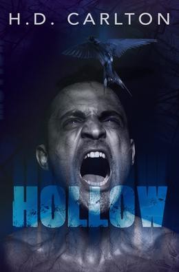 Hollow by H. D. Carlton