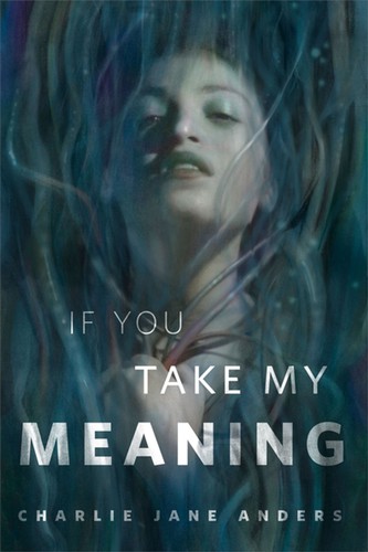 If You Take My Meaning by Charlie Jane Anders