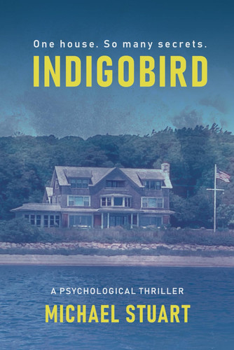 Indigobird A Psychological Thriller by Michael Stuart