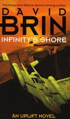 Infinity's shore by David Brin