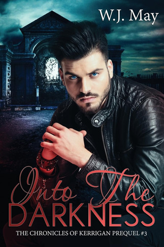 Into the Darkness Paranormal Fantasy Romance by Wanita J. May