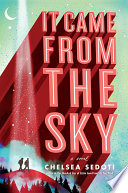It Came from the Sky by Chelsea Sedoti
