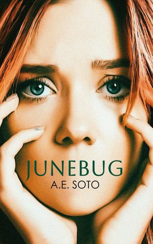 Junebug: An Extreme Horror Novella by Soto, A. E.