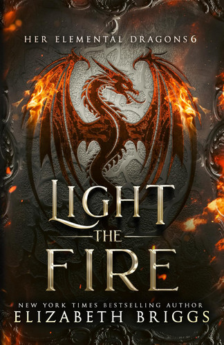 Light The Fire A Reverse Harem Fantasy by Elizabeth Briggs