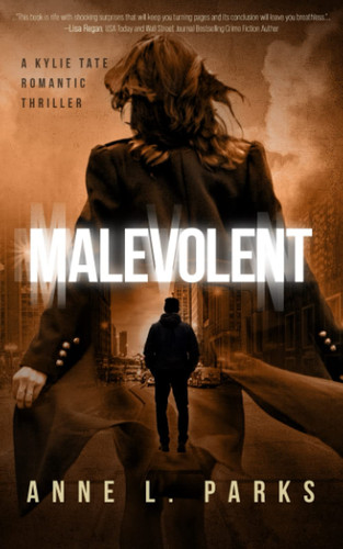 Malevolent A Romantic Thriller by Anne L Parks