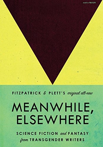 Meanwhile, Elsewhere by Cat Fitzpatrick