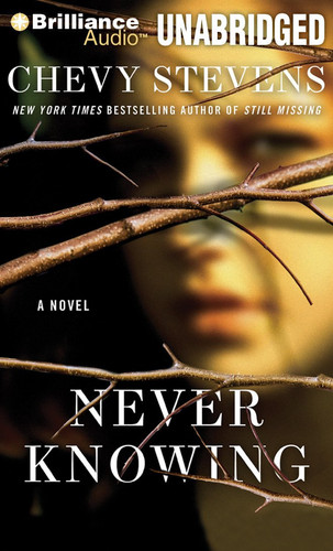 Never Knowing by Stevens, Chevy