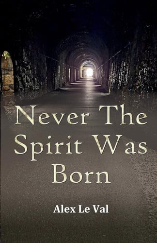 Never The Spirit Was Born by ALEX. LE VAL