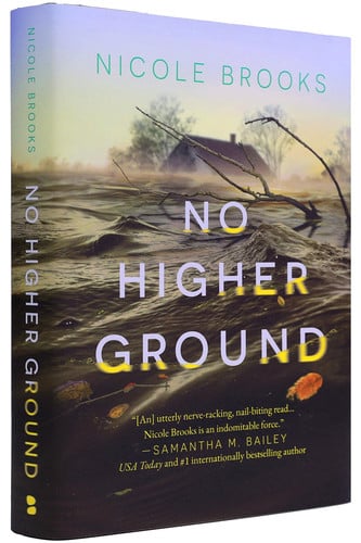 No Higher Ground by Nicole Brooks