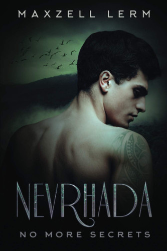 No More Secrets A Young Adult Fantasy by Maxzell Lerm