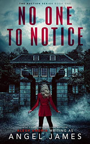 No One To Notice Psychological Thriller by Angel James