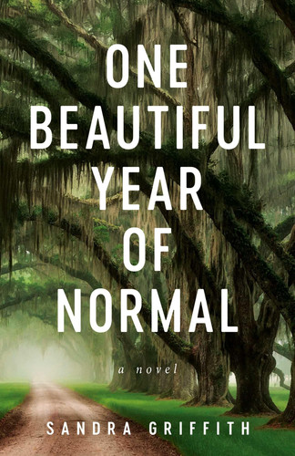 One Beautiful Year of Normal A Novel by Sandra K. Griffith