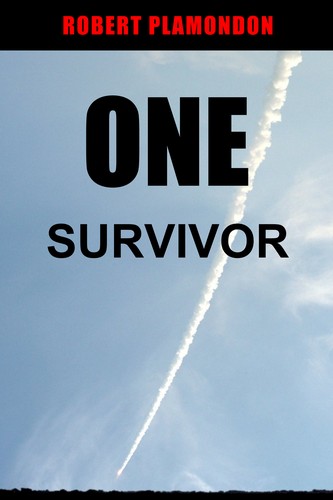 One Survivor by Robert Plamondon